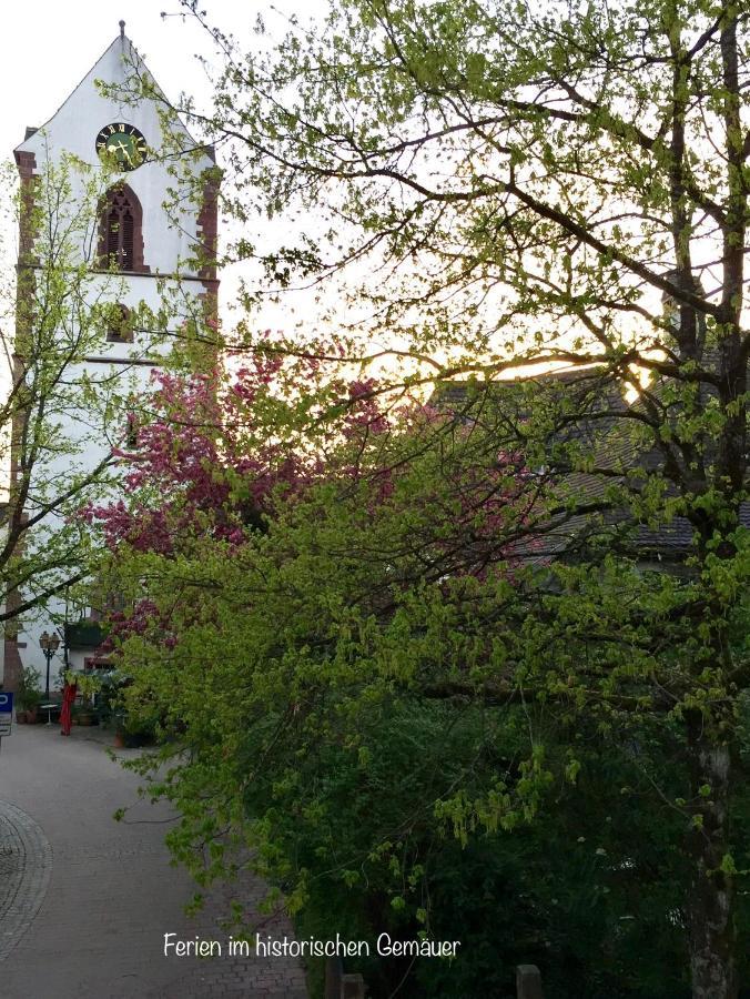 Appartment Entegast - Edles Landhausflair Zum Geniessen Schopfheim Buitenkant foto